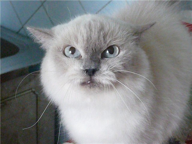 user posted image